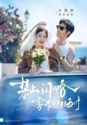 禁止闪婚，雾散归栖时